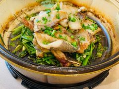 香葱焗石斑鱼-尚一汤·粤菜海鲜(环球港店)