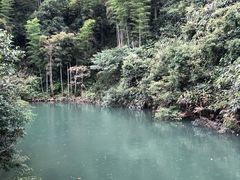 -将军关探险漂流