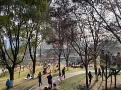 -宁波儿童公园(鄞州区)