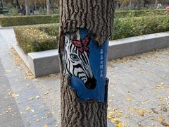 -迎泽公园