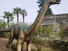 -自贡恐龙博物馆