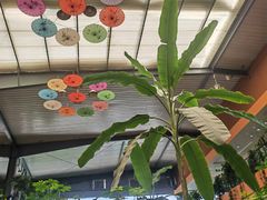 -君临七星生态酒店