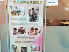 -三花喵·撸猫购宠·宠物生活馆(虹桥南丰城店)