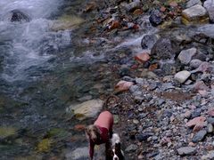 -西岭雪山大飞水景区