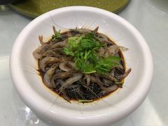 -苏启渔港(云南北路店)