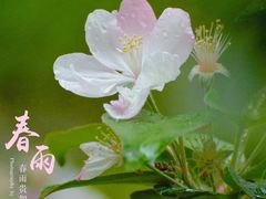 -海棠花溪(元大都城垣遗址公园)