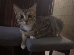 -逃脱反斗城沉浸剧情密室(北京路店)