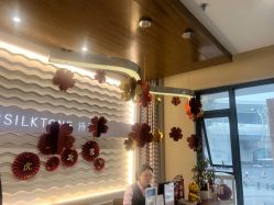 -SILKTONE诗丽堂美容