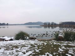 -东湖落雁景区