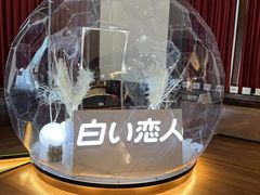 -北海道厅旧本厅舍(旧本庁舎)