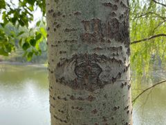 -东郊湿地公园