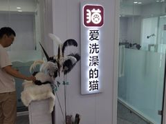 -爱洗澡的猫(望京店)