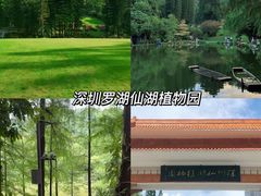 -大梅沙海滨公园