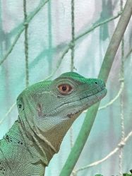 -Zoolung Zoolung动物主题公园(海信广场店)