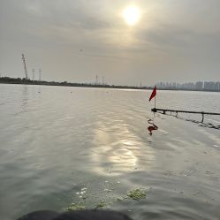-HEYAN长风荷妍专业脱毛美肤
