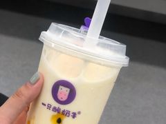 籽籽百香酸奶多-一只酸奶牛(八一路店)