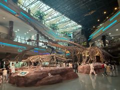 -安徽省地质博物馆