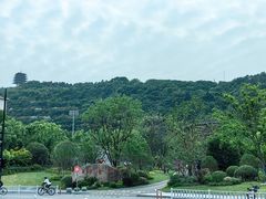 -临平公园(临平街道)