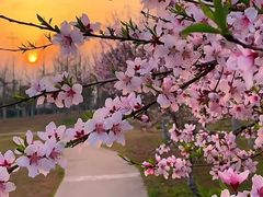 -河口景区