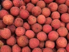 -上海龙吴水胜海发市场