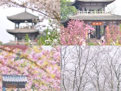 -都江堰玫瑰花溪谷