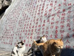 -抱犊寨风景区