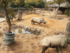 -上海野生动物园