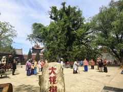 -大槐树寻根祭祖园