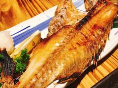 烤黑鲷-明日叶居酒屋(师惠坊店)