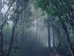 -梧桐山风景名胜区