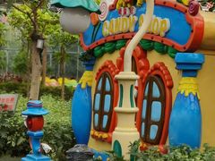 -南宫五洲植物乐园