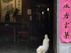 -环秀楼(黄山呈坎店)