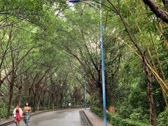 -滴水岩森林公园
