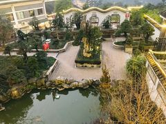 -老幺泉水鸡