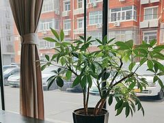 -峨嵋酒家(牡丹园店)