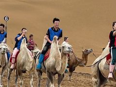 -银肯塔拉沙漠生态旅游景区
