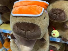 -白鹭湾湿地公园