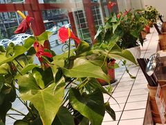-蛙一刀·麻椒鱼火锅(金仙桥店)