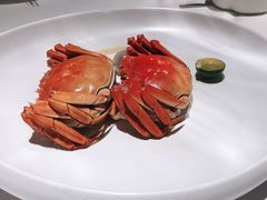 大闸蟹-民国红公馆·秦淮八艳(夫子庙店)