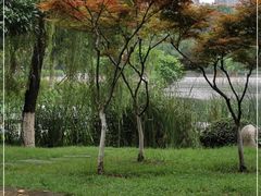 -后襄河公园
