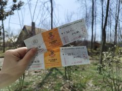 -合肥滨湖国家森林公园