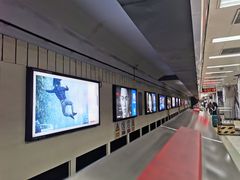 -大望路(地铁站)