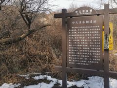 -阳台山自然风景区