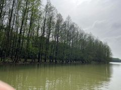 -上海海湾国家森林公园