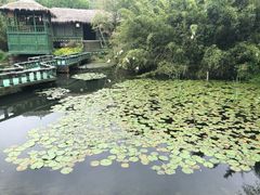 -天下银坑