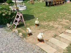 -HERRE·FARM 赫尔露营农场·团建聚会包场