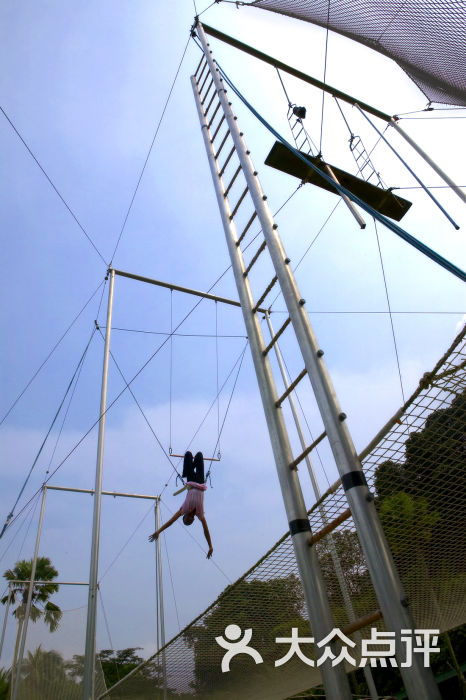 the flying trapeze 1