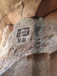 点击看大图 -翱翔飞越地平线