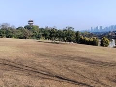 -张坝桂圆林公园