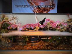 -Lumi露米·美甲美睫品质店